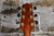 Takamine EG350SC w/ Gator Hard Case (Used)