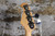 1990s Charvel CX-490 PJ Black (Made in Japan)