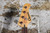1990s Charvel CX-490 PJ Black (Made in Japan)