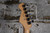 2024 Fender Player II Stratocaster Surf Pearl (Used)