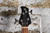 Yamaha TRBX-174 Violin Sunburst (Used)