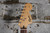 2000 Squier Affinity Stratocaster Black (Used)