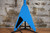 1984 Gibson Designer Series Flying V Refinished Blue w/ SKB Hard Case