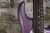2021 Ernie Ball Music Man Stingray Special 5 HH Amethyst Sparkle w/ OHSC (Used)