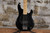 Sterling by Music Man Stingray 5 Black (Used)