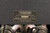 Traynor TS-15 15 Watt 2X8 Combo (Used)