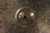 Zildjian Planet Z 13" Hi Hats (Used)