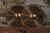 Sabian B8 14" Hi Hats (Used)