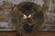 Sabian AAX 20" Brilliant Stage Ride (Used)