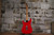 Synsonics Pro Series Strat Copy Red (Used)