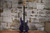 ESP LTD AP-204 Metallic Purple (Used)