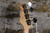 No Name P-Bass Copy White (Used)