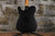 Reverend Pete Anderson Eastsider Baritone Satin Black (Used)