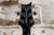 2009 PRS SE Custom 24 Transparent Black w/ Hard Case (Used)