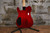 G&L ASAT Deluxe Tribute Series Carved Top Transparent Red (Used)