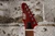 ESP XJ-6 (Made in Japan) See Thru Red w/ Hard Case (Used)