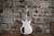 Danelectro Dan O. Mano Metallic Silver