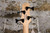 Ibanez SRX2EX1 Black (Used)