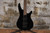 Ibanez SRX2EX1 Black (Used)
