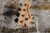 2023 Squier PJ Precision Bass Lake Placid Blue w/ Bag (Used)