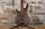 Ibanez GSR200BL Left Handed Walnut Flat (Used)