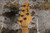 Sterling by Music Man StingRay 5 Mint Green (Used)