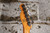2022 Squier 40th Anniversary Vintage Edition Telecaster Red (Used)