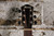 Ibanez AEW22CD-NT 1201 Acoustic/Electric (Used)