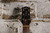 Godin 5th Avenue Kingpin P90 Cognac Burst (Used)