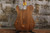 Custom Built (Mike Riggs) Partscaster w/ Hard Case (Used)