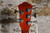 Ibanez AEB105E Natural High Gloss
