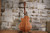 Ibanez AE100BUF Burgundy Flat
