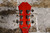 Epiphone Hummingbird Studio Cherry Sunburst Acoustic/Electric (Used)