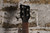 Warwick Corvette Rockbass Basic 5 Natural (Used)