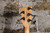 Warwick Corvette Rockbass Basic 5 Natural (Used)