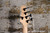 Michael Tobias Design Kingston 25 Fretless Transparent Cherry (Used)