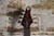 Michael Tobias Design Kingston 25 Fretless Transparent Cherry (Used)