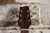 1980s Fender Gemini II w/ Chipboard Case