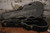 Martin X Series Custom Black 000 w/ Hard Shell Case (Used)