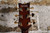 Ibanez AM93ME-NT Artcore Expressionist