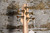 Ibanez SR405EPBDX Tropical Seafloor Burst
