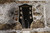 Gretsch G2420T Streamliner Walnut w/ Hard Case (Used)