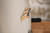 1924 Paramount Leader Tenor Banjo w/ Hard Shell Case