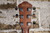 Ibanez AEG70 Vintage Violin High Gloss