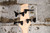 Ibanez GSRM20 Mikro Walnut Flat