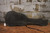1970 Stella Harmony Parlor w/ Chipboard Case