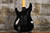 Schecter Demon-6 FR (Used)