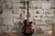 Ibanez AGB-200 Standard Transparent Brown w/ Gig Bag (Used)