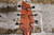 Breedlove Pursuit Exotic S Concert CE Sweetgrass (Used)