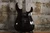 Jackson Dinky 24 Black (Used)